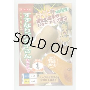 画像: 送料無料　[かぼちゃ]　すずなりバタ子さん　100粒　ナント種苗(株)