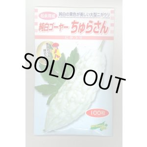 画像: 送料無料　[ゴーヤ]　純白ゴーヤー　ちゅらさん　100粒　松永種苗(株)