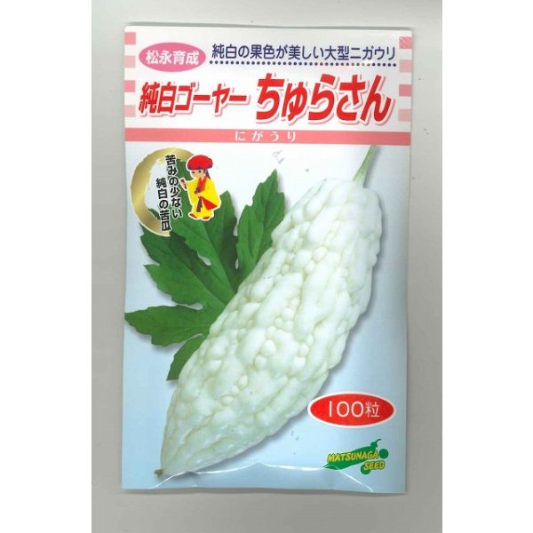 画像1: 送料無料　[ゴーヤ]　純白ゴーヤー　ちゅらさん　100粒　松永種苗(株) (1)