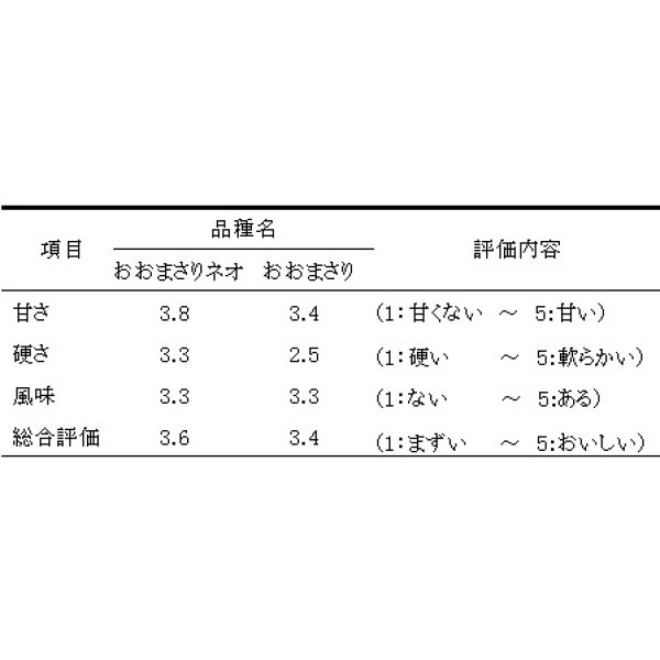 画像4: 送料無料　[落花生]　おおまさりネオ　むき実種子　20粒　渡辺農事（株） (4)