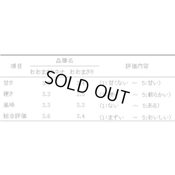 画像4: 送料無料　[落花生]　おおまさりネオ　むき実種子　20粒　渡辺農事（株） (4)