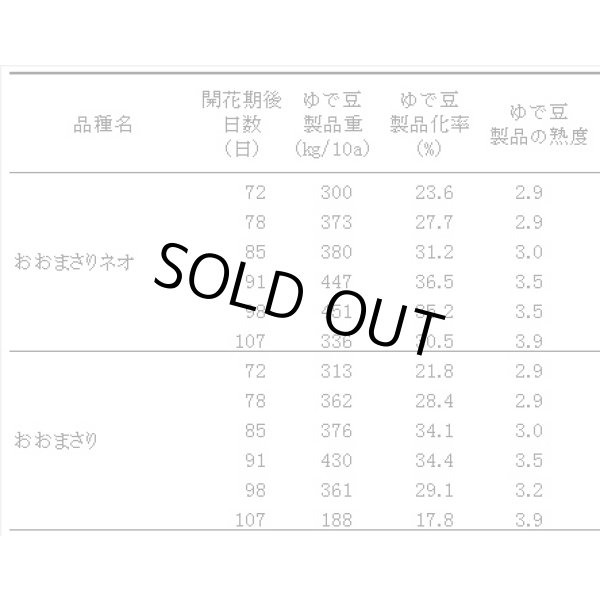 画像3: 送料無料　[落花生]　おおまさりネオ　むき実種子　20粒　渡辺農事（株） (3)