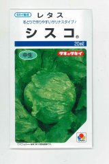 画像: 送料無料　[レタス]　シスコ20ml　(コートしてません)　タキイ種苗(株)