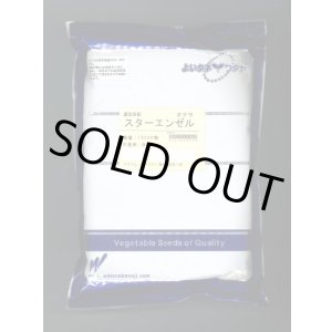画像: 送料無料　[オクラ]　スターエンゼル　1万粒　渡辺農事（株）