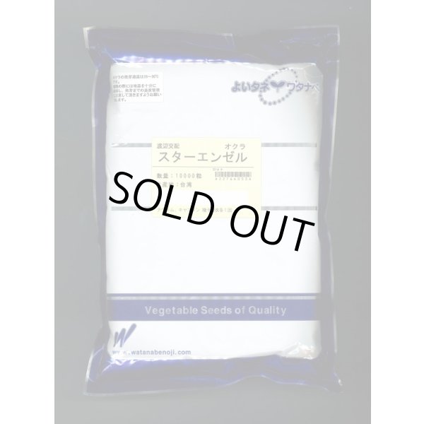 画像1: 送料無料　[オクラ]　スターエンゼル　1万粒　渡辺農事（株） (1)