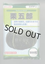 画像: 送料無料　[かぼちゃ]　栗五郎　1000粒　カネコ種苗（株）