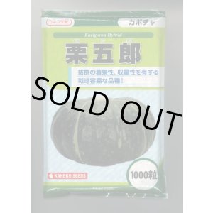 画像: 送料無料　[かぼちゃ]　栗五郎　1000粒　カネコ種苗（株）