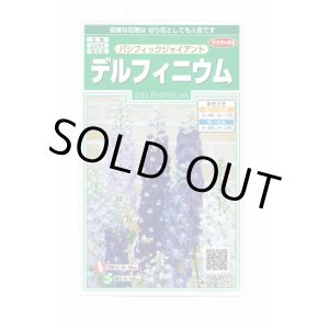 画像: 送料無料　花の種　デルフィニウム　パシフィックジャイアント　約30粒　(株)サカタのタネ　実咲250（026257）