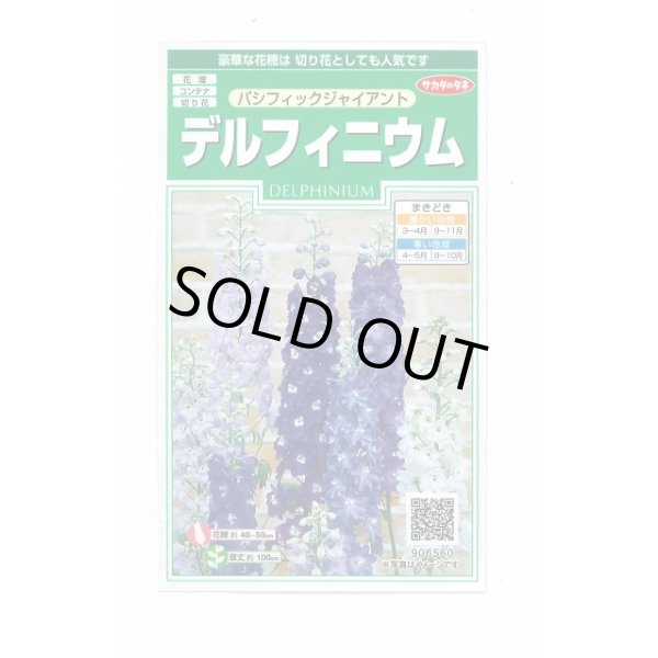 画像1: 送料無料　花の種　デルフィニウム　パシフィックジャイアント　約30粒　(株)サカタのタネ　実咲250（026257） (1)
