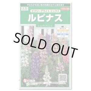 画像: 送料無料　花の種　ルピナス　ピクシーデライトミックス　約30粒　(株)サカタのタネ　実咲250（026298）