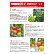 画像7: [トマト/大玉トマト]　送料無料！麗妃　1000粒　サカタのタネ（株） (7)