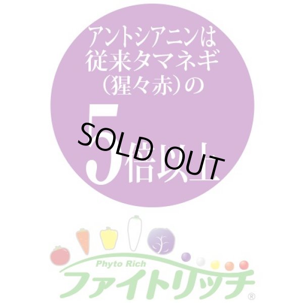 画像3: 送料無料　[たまねぎ]　ケルたまルビー　2dl　タキイ種苗(株) (3)