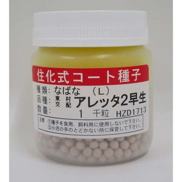 画像1: [葉物]　アレッタ2早生　ペレット種子　1000粒　松永種苗(株) (1)