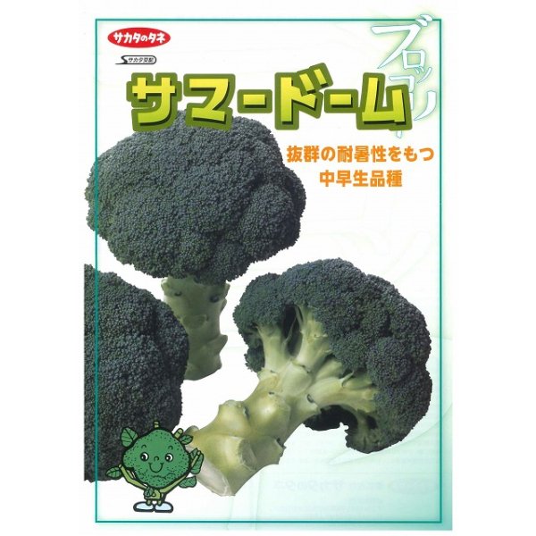 画像2: 送料無料　[ブロッコリー]　サマードーム　ペレット125粒　(株)サカタのタネ　実咲550（003175） (2)