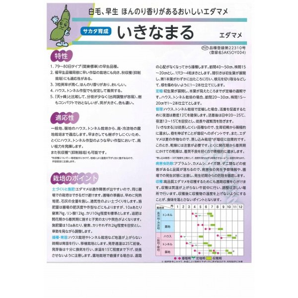 画像3: 送料無料 [枝豆] いきなまる 1dL (株)サカタのタネ (3)