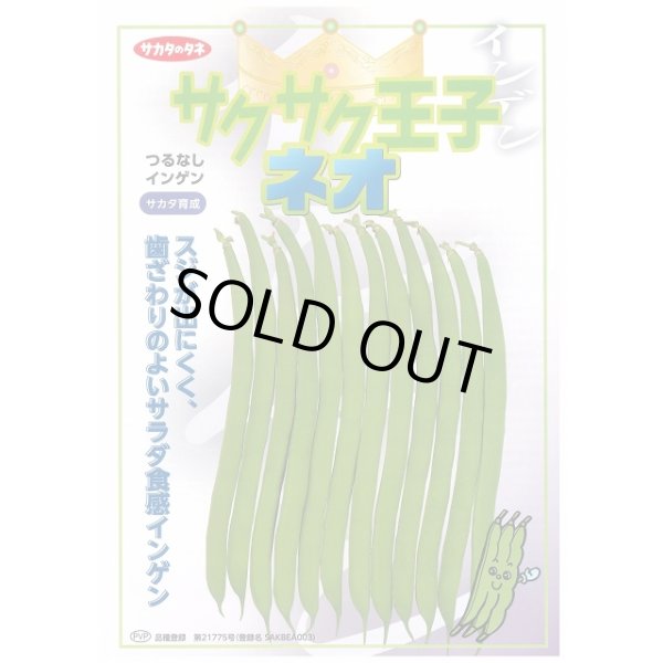 画像2: 送料無料　[いんげん]　つるなしいんげん　サクサク王子ネオ　1dl　(株)サカタのタネ (2)
