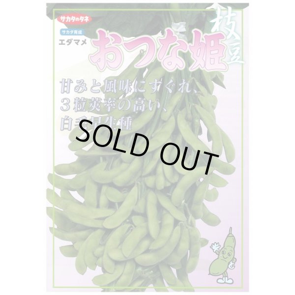 画像2: 送料無料 [枝豆] おつな姫 1dl (株)サカタのタネ (2)