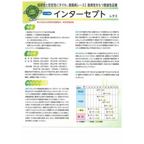 画像3: [レタス] インターセプト ペレット種子 5000粒 （株）サカタのタネ (3)