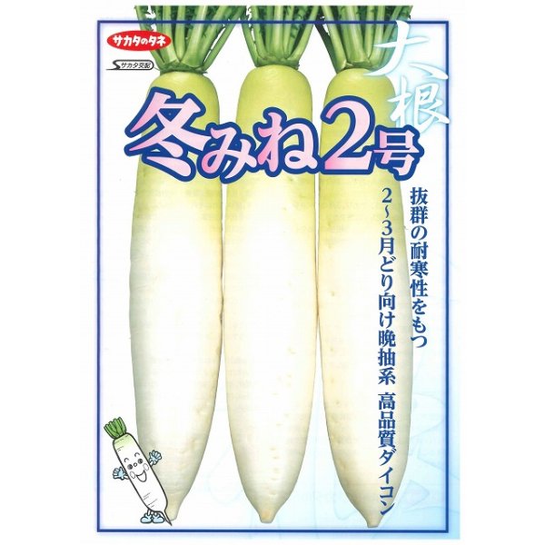 画像2: 送料無料 大根 冬みね2号 5000粒 ペレット種子 (株)サカタのタネ (2)