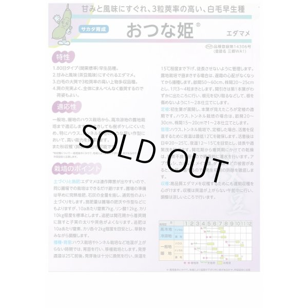 画像3: 送料無料 [枝豆] おつな姫 1dl (株)サカタのタネ (3)