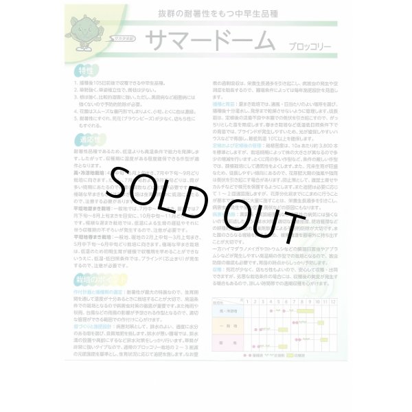 画像3: 送料無料 [ブロッコリー] サマードーム コート5000粒 (株)サカタのタネ (3)