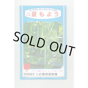 画像: 送料無料　[キュウリ]　夏もよう　350粒　(株)ときわ研究場