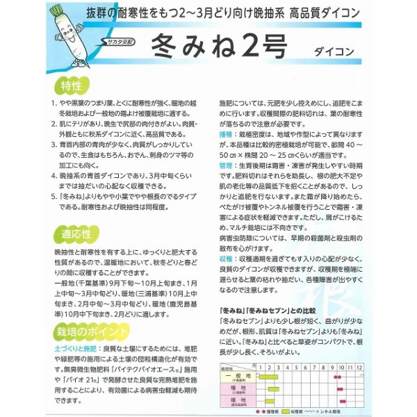 画像3: 送料無料 大根 冬みね2号 8000粒 (株)サカタのタネ (3)