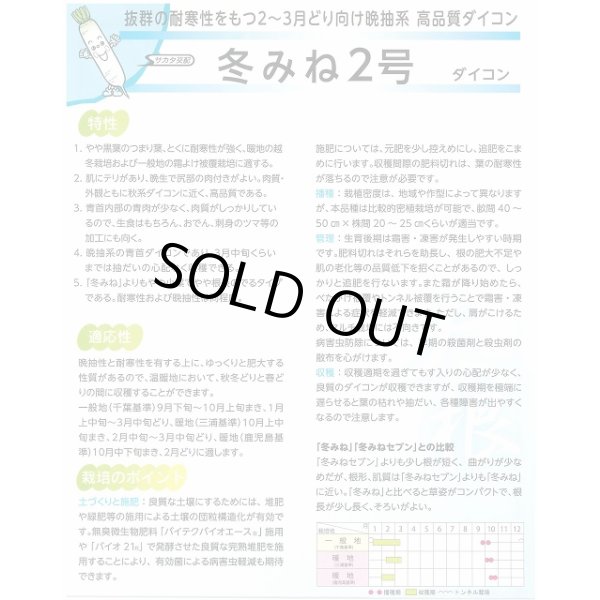 画像3: 送料無料 大根 冬みね2号 8000粒 (株)サカタのタネ (3)