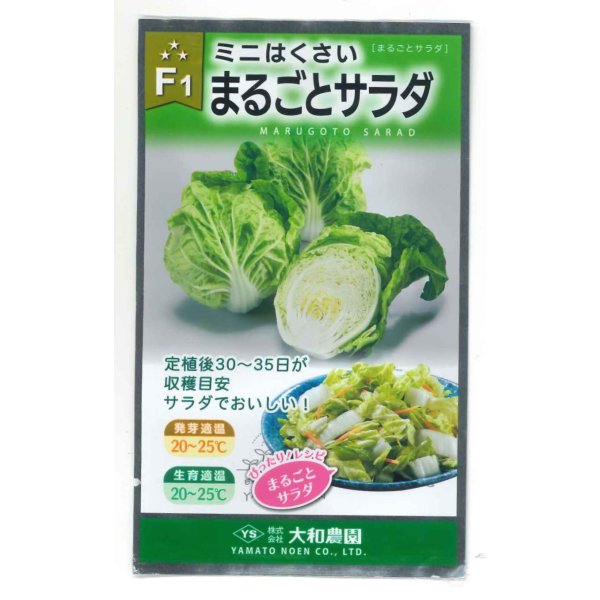 画像1: 送料無料　[白菜]　ミニはくさい　まるごとサラダ　1ml　（株）大和農園 (1)