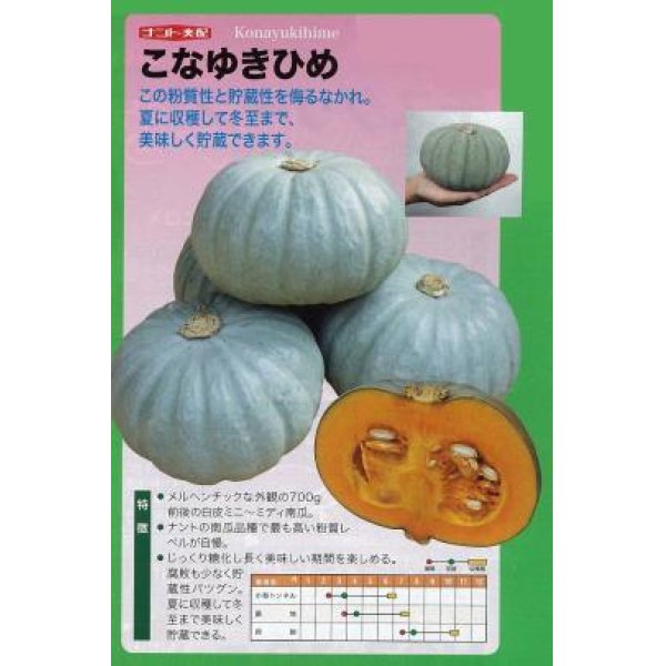 画像2: [かぼちゃ]　こなゆきひめ　100粒　ナント種苗（株） (2)