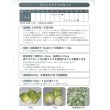 画像3: [白菜]　ミニはくさい　まるごとサラダ 0.5ml　  （株）大和農園 (3)
