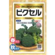 画像1: 送料無料　[ブロッコリー]　ピクセル　ペレット300粒　(株)サカタのタネ　実咲PRO (1)
