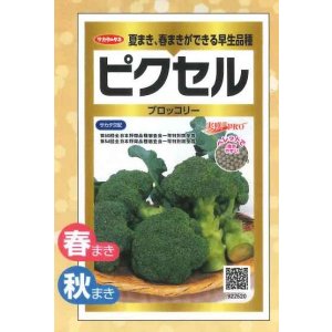 画像: 送料無料　[ブロッコリー]　ピクセル　ペレット300粒　(株)サカタのタネ　実咲PRO