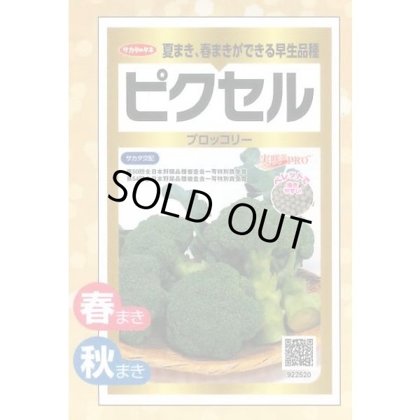画像1: 送料無料　[ブロッコリー]　ピクセル　ペレット300粒　(株)サカタのタネ　実咲PRO (1)
