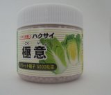 画像: [白菜] 極意 ペレット種子5千粒 カネコ種苗（株）