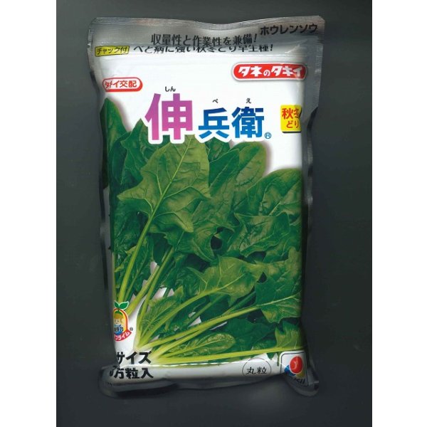 画像1: [ほうれんそう] 伸兵衛 3万粒(種子サイズ：L) タキイ種苗(株) (1)