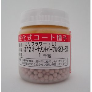 画像: [カリフラワー]　オーナメントパープル　ペレット1000粒　サカタのタネ（株）