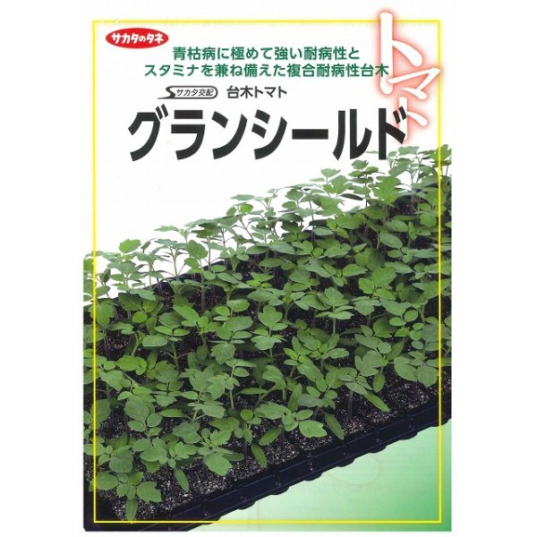 画像2: [台木/トマト用]　送料無料！グランシールド　1000粒　サカタのタネ（株） (2)