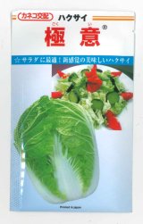 画像: [白菜] 極意 10ml カネコ種苗（株）