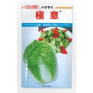 画像: [白菜] 極意 10ml カネコ種苗（株）
