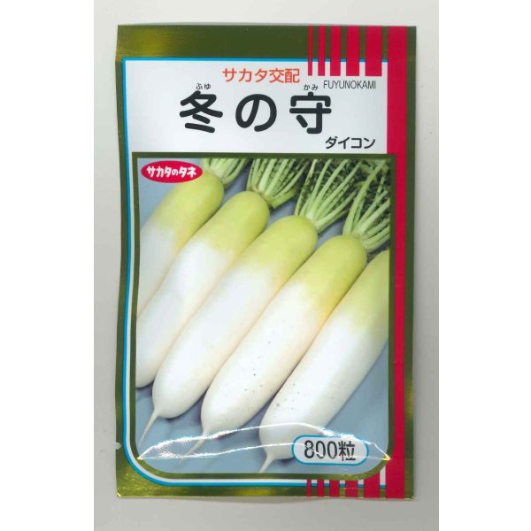 画像1: 送料無料 大根 冬の守 800粒 (株)サカタのタネ (1)