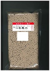 画像: 送料無料 大根 冬馬力 5000粒 ペレット種子 (株)サカタのタネ