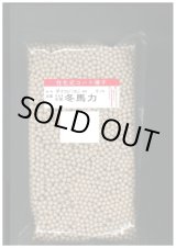 画像: 送料無料　大根　冬馬力　5000粒　ペレット種子　(株)サカタのタネ