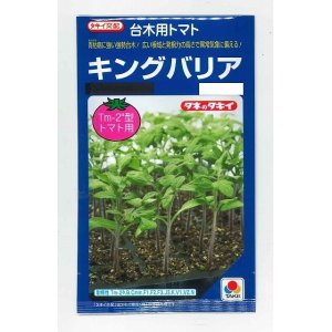 画像: [台木/トマト用]　　キングバリア　50粒　タキイ種苗（株）