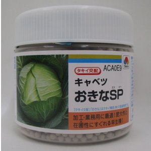 画像: 送料無料　[キャベツ]　おきなSP　ペレット5000粒　タキイ種苗(株)
