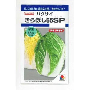 画像: 送料無料　[白菜]　きらぼし65ＳＰ　0.8ml（約200粒）　タキイ種苗(株)　DF