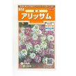 画像1: 花の種　アリッサム 混合　約334粒　サカタのタネ（株）実咲200 (1)