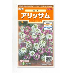 画像: 花の種　アリッサム 混合　約334粒　サカタのタネ（株）実咲200