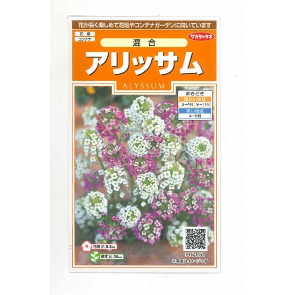 画像1: 花の種　アリッサム 混合　約334粒　サカタのタネ（株）実咲200 (1)