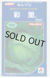 画像: [キャベツ] 彩里 2000粒 タキイ種苗(株)